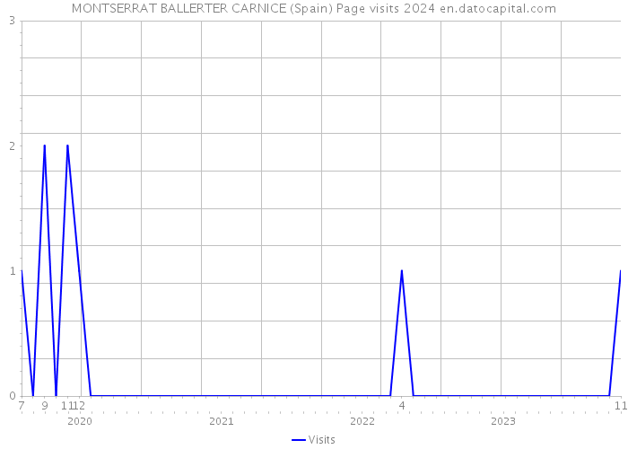 MONTSERRAT BALLERTER CARNICE (Spain) Page visits 2024 