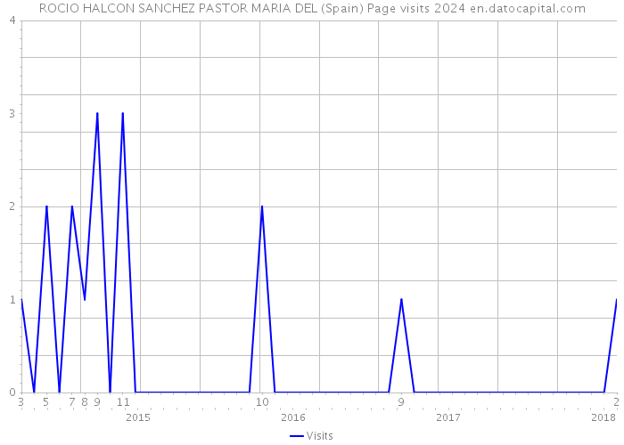 ROCIO HALCON SANCHEZ PASTOR MARIA DEL (Spain) Page visits 2024 