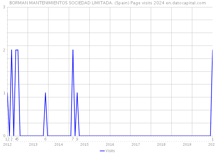BORMAN MANTENIMIENTOS SOCIEDAD LIMITADA. (Spain) Page visits 2024 