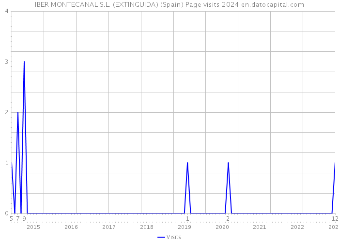 IBER MONTECANAL S.L. (EXTINGUIDA) (Spain) Page visits 2024 