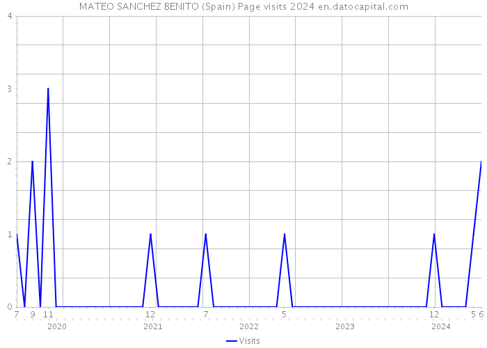 MATEO SANCHEZ BENITO (Spain) Page visits 2024 