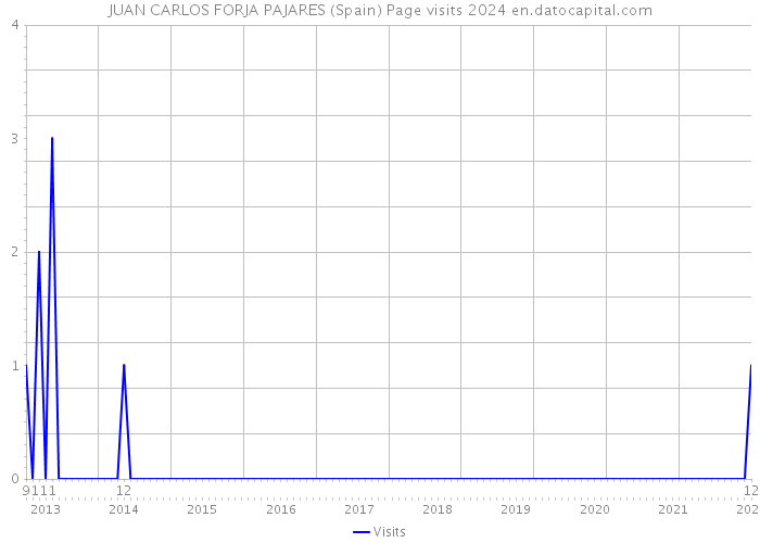 JUAN CARLOS FORJA PAJARES (Spain) Page visits 2024 
