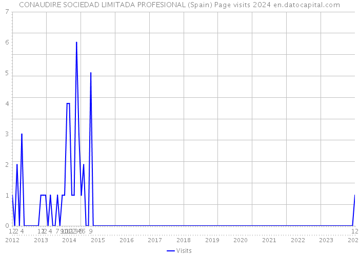 CONAUDIRE SOCIEDAD LIMITADA PROFESIONAL (Spain) Page visits 2024 