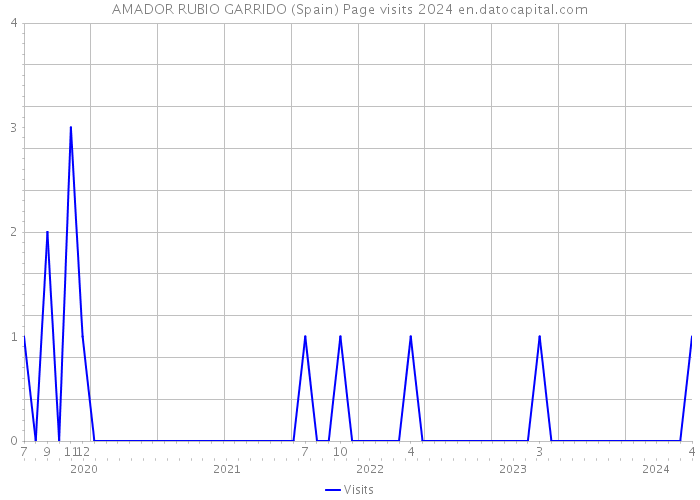 AMADOR RUBIO GARRIDO (Spain) Page visits 2024 