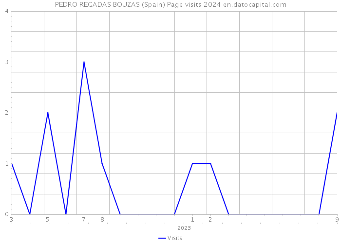 PEDRO REGADAS BOUZAS (Spain) Page visits 2024 