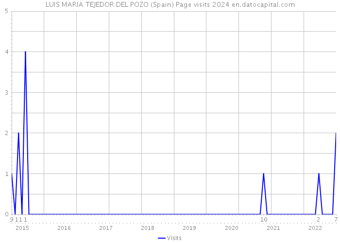 LUIS MARIA TEJEDOR DEL POZO (Spain) Page visits 2024 