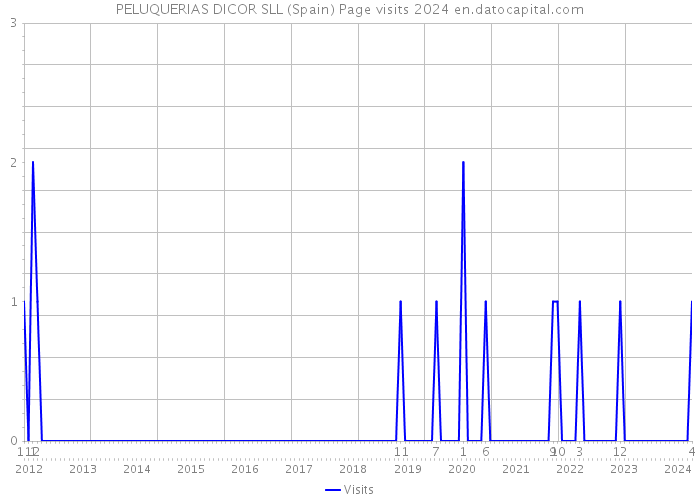 PELUQUERIAS DICOR SLL (Spain) Page visits 2024 