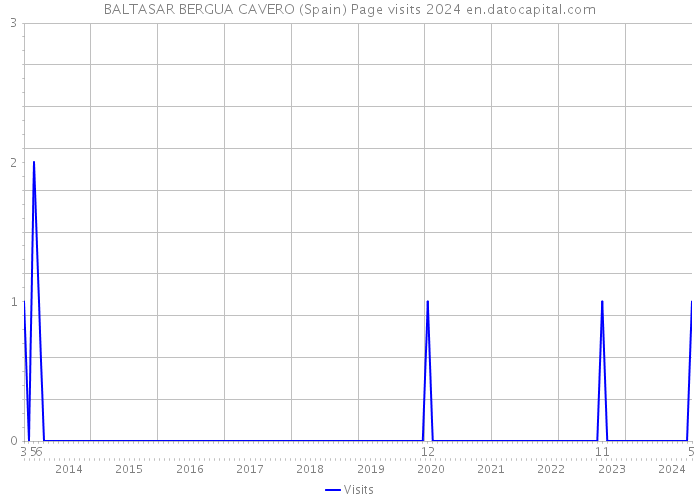 BALTASAR BERGUA CAVERO (Spain) Page visits 2024 