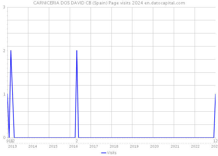 CARNICERIA DOS DAVID CB (Spain) Page visits 2024 