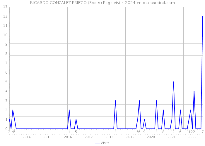 RICARDO GONZALEZ PRIEGO (Spain) Page visits 2024 
