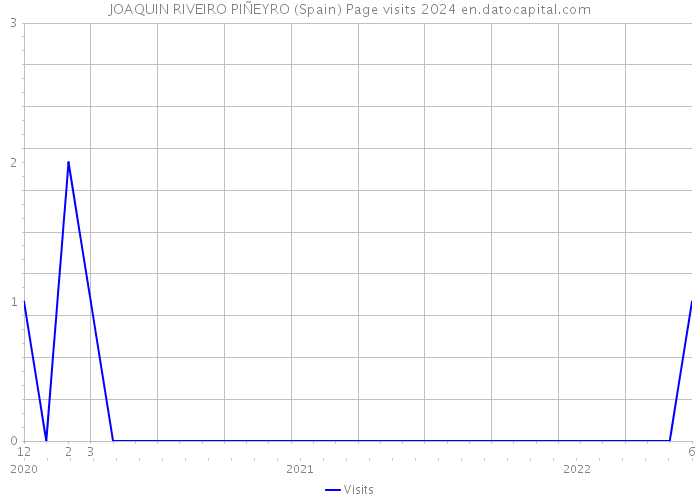 JOAQUIN RIVEIRO PIÑEYRO (Spain) Page visits 2024 