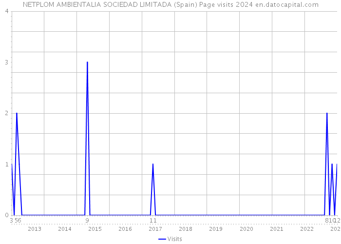 NETPLOM AMBIENTALIA SOCIEDAD LIMITADA (Spain) Page visits 2024 