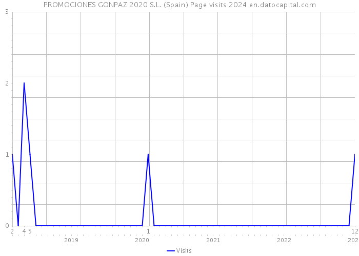 PROMOCIONES GONPAZ 2020 S.L. (Spain) Page visits 2024 