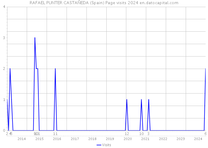 RAFAEL PUNTER CASTAÑEDA (Spain) Page visits 2024 