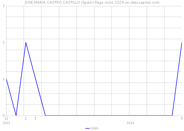 JOSE MARIA CASTRO CASTILLO (Spain) Page visits 2024 