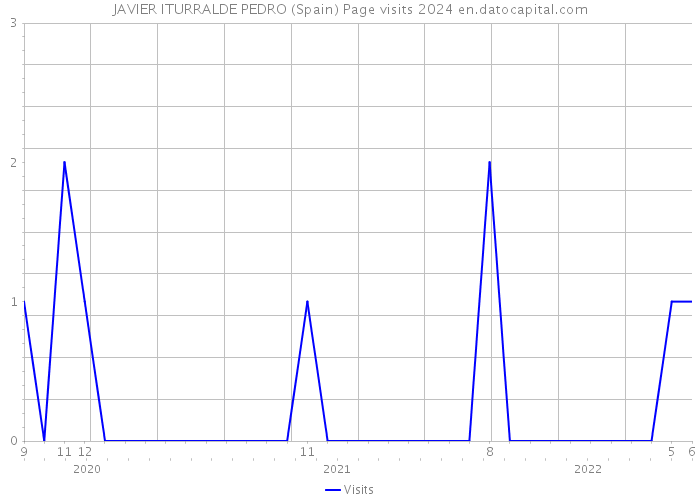 JAVIER ITURRALDE PEDRO (Spain) Page visits 2024 
