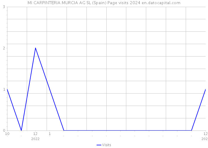 MI CARPINTERIA MURCIA AG SL (Spain) Page visits 2024 