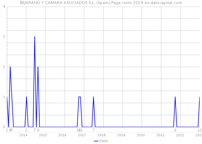 BEJARANO Y CAMARA ASOCIADOS S.L. (Spain) Page visits 2024 