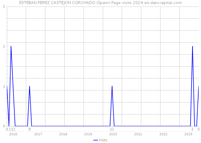 ESTEBAN PEREZ CASTEJON CORCHADO (Spain) Page visits 2024 