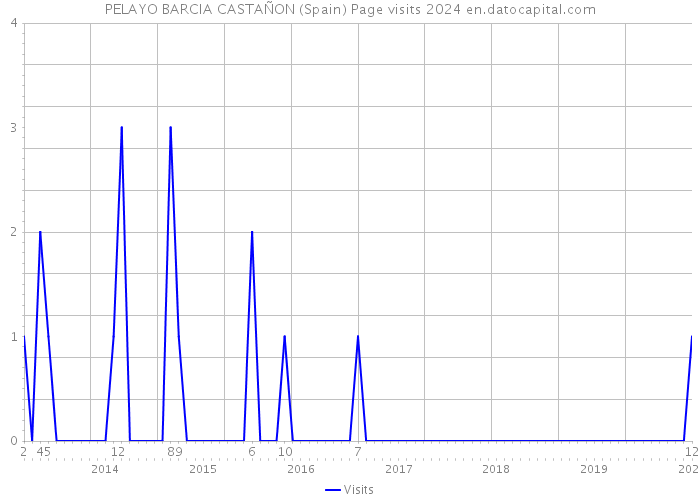 PELAYO BARCIA CASTAÑON (Spain) Page visits 2024 