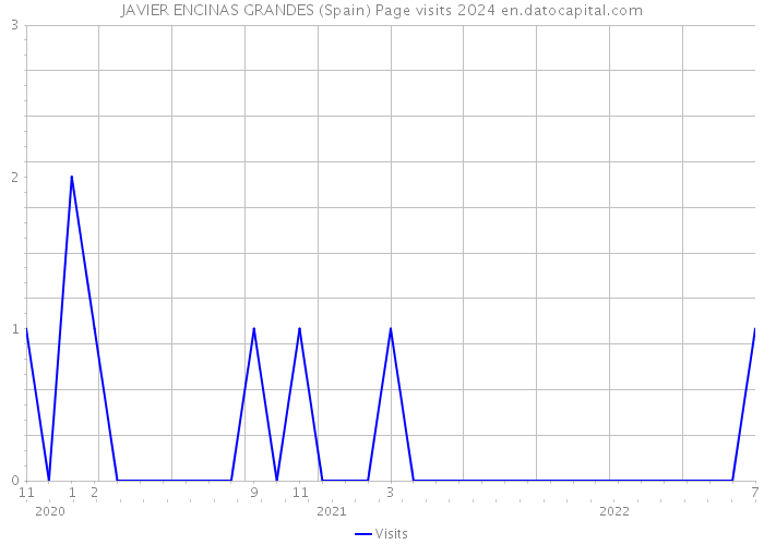 JAVIER ENCINAS GRANDES (Spain) Page visits 2024 