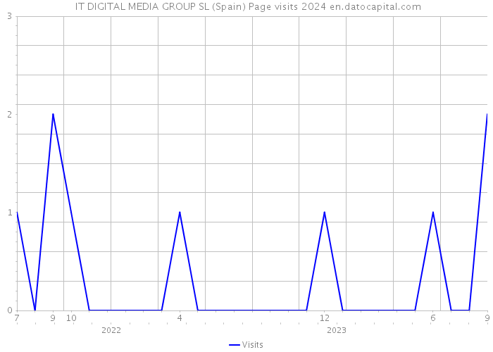  IT DIGITAL MEDIA GROUP SL (Spain) Page visits 2024 