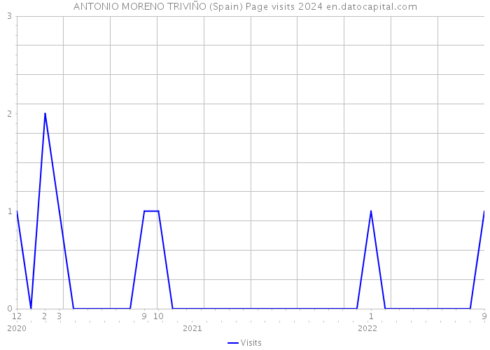 ANTONIO MORENO TRIVIÑO (Spain) Page visits 2024 