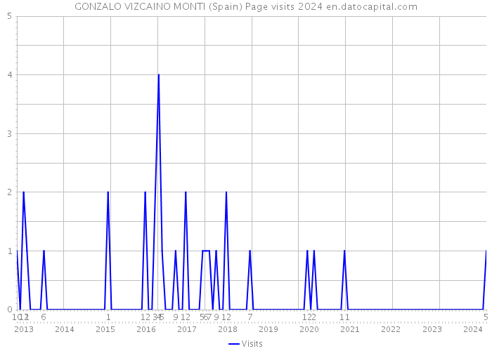 GONZALO VIZCAINO MONTI (Spain) Page visits 2024 