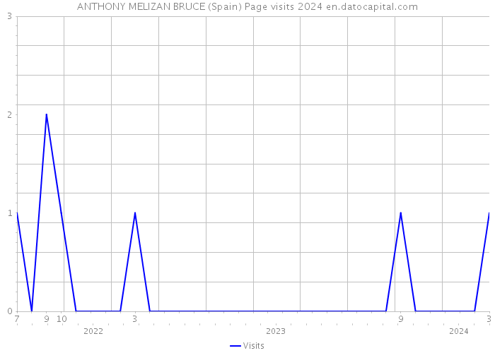 ANTHONY MELIZAN BRUCE (Spain) Page visits 2024 
