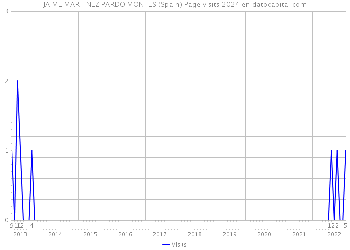 JAIME MARTINEZ PARDO MONTES (Spain) Page visits 2024 