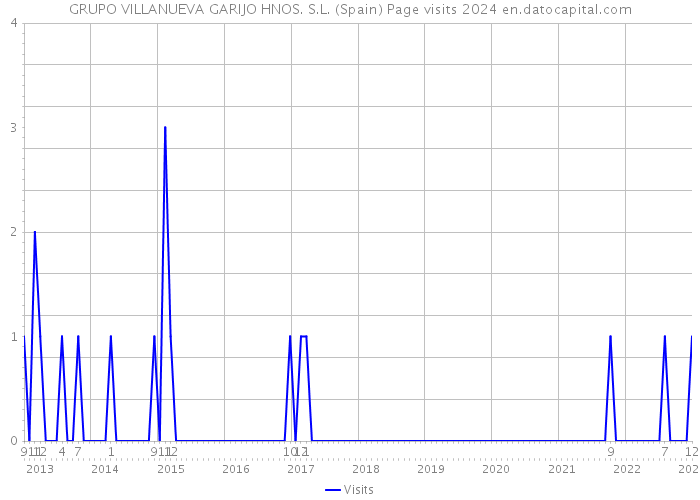 GRUPO VILLANUEVA GARIJO HNOS. S.L. (Spain) Page visits 2024 