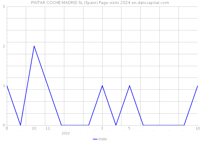 PINTAR COCHE MADRID SL (Spain) Page visits 2024 