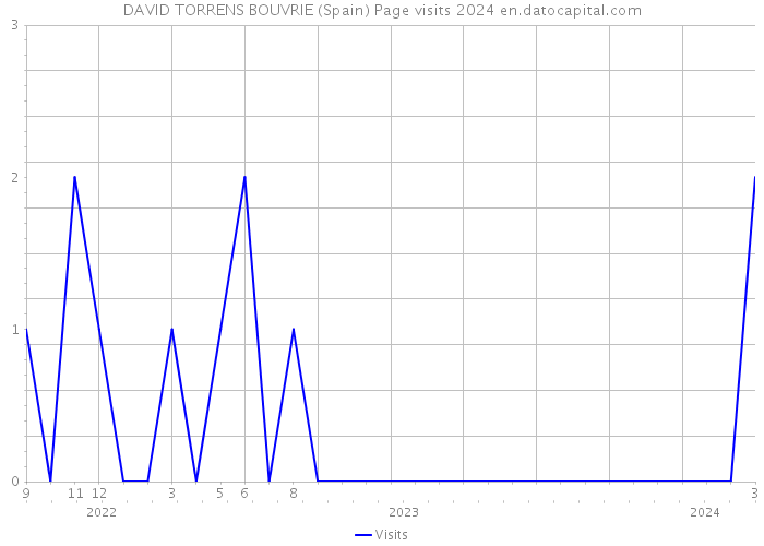 DAVID TORRENS BOUVRIE (Spain) Page visits 2024 