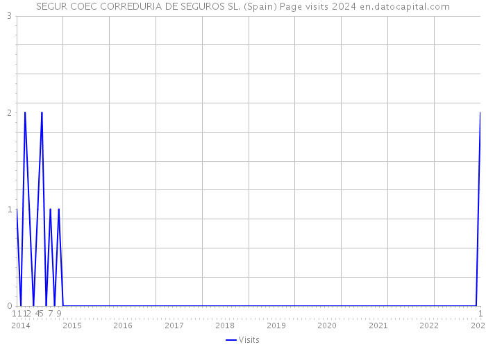 SEGUR COEC CORREDURIA DE SEGUROS SL. (Spain) Page visits 2024 