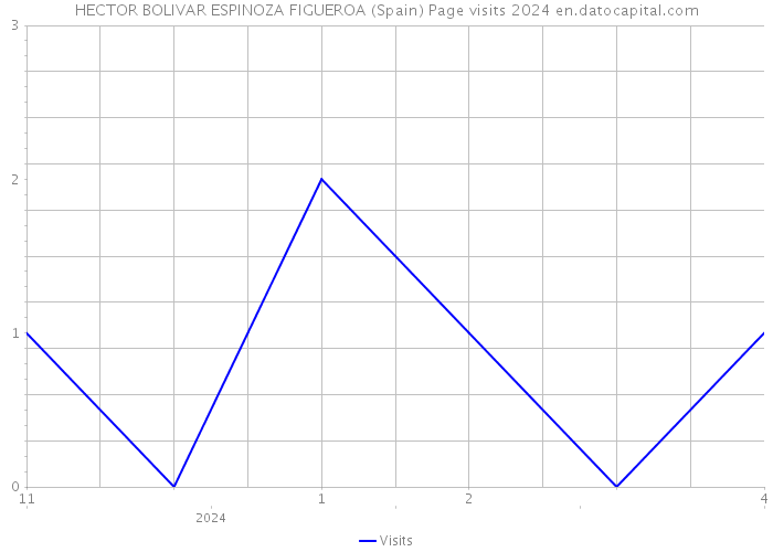 HECTOR BOLIVAR ESPINOZA FIGUEROA (Spain) Page visits 2024 