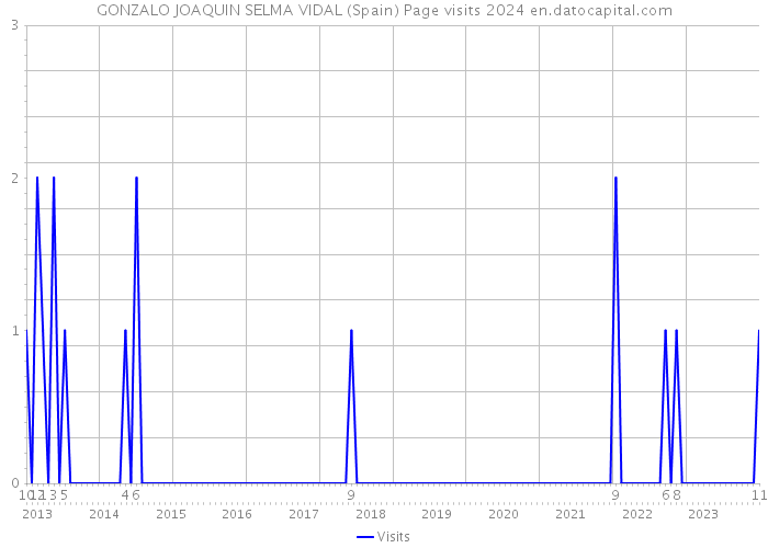GONZALO JOAQUIN SELMA VIDAL (Spain) Page visits 2024 