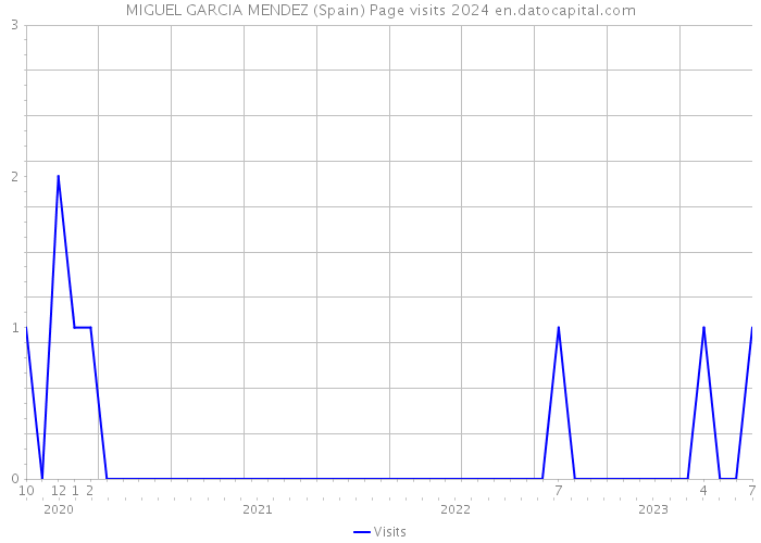 MIGUEL GARCIA MENDEZ (Spain) Page visits 2024 