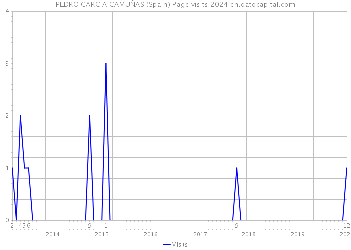 PEDRO GARCIA CAMUÑAS (Spain) Page visits 2024 