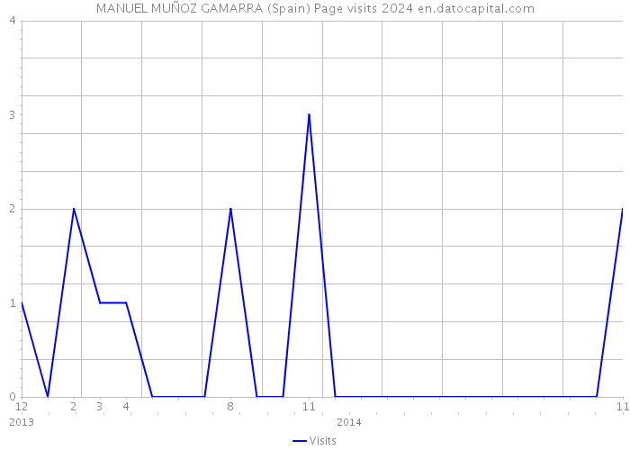 MANUEL MUÑOZ GAMARRA (Spain) Page visits 2024 