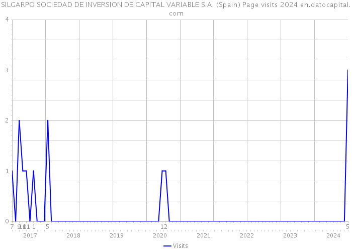 SILGARPO SOCIEDAD DE INVERSION DE CAPITAL VARIABLE S.A. (Spain) Page visits 2024 