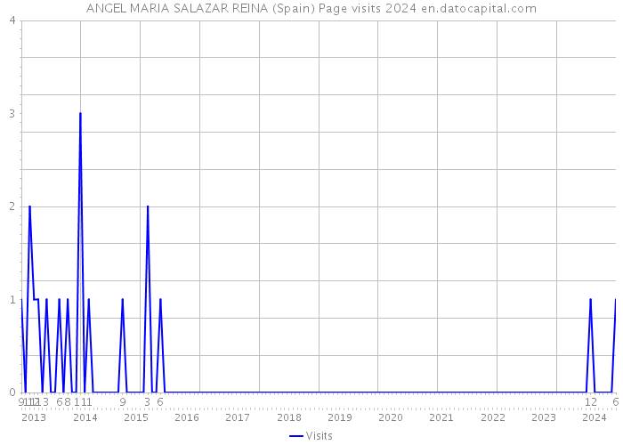 ANGEL MARIA SALAZAR REINA (Spain) Page visits 2024 