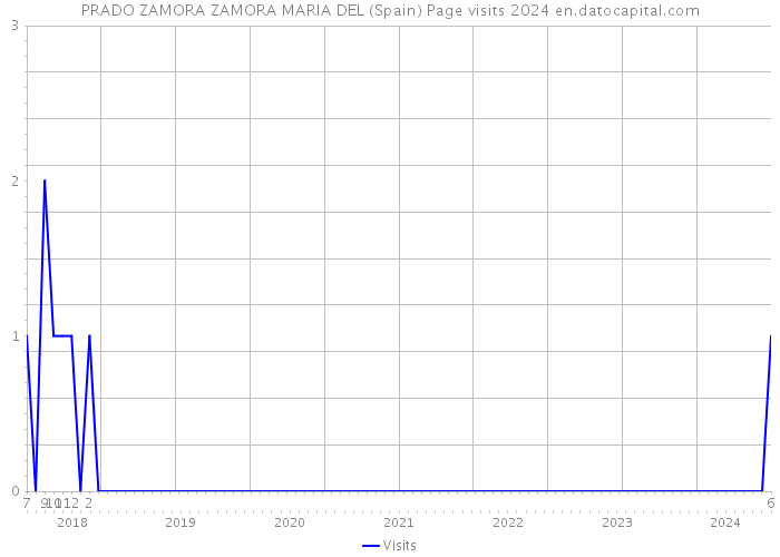PRADO ZAMORA ZAMORA MARIA DEL (Spain) Page visits 2024 