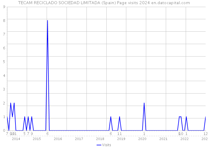 TECAM RECICLADO SOCIEDAD LIMITADA (Spain) Page visits 2024 