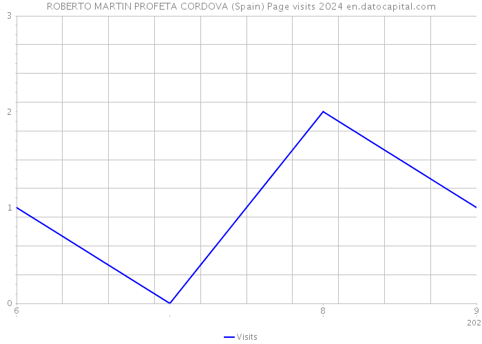 ROBERTO MARTIN PROFETA CORDOVA (Spain) Page visits 2024 