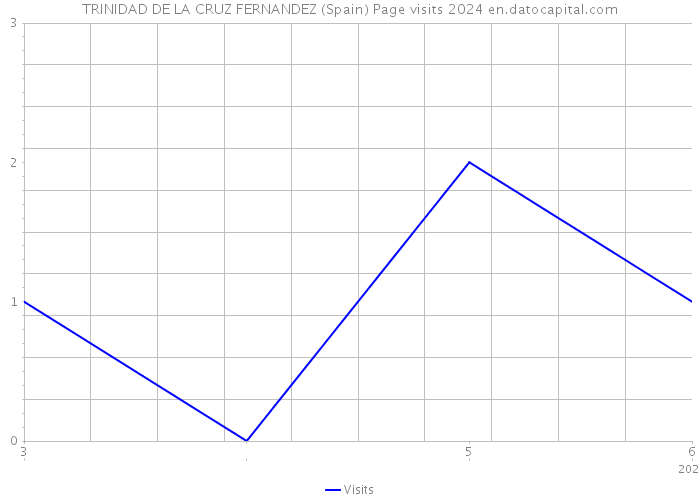 TRINIDAD DE LA CRUZ FERNANDEZ (Spain) Page visits 2024 