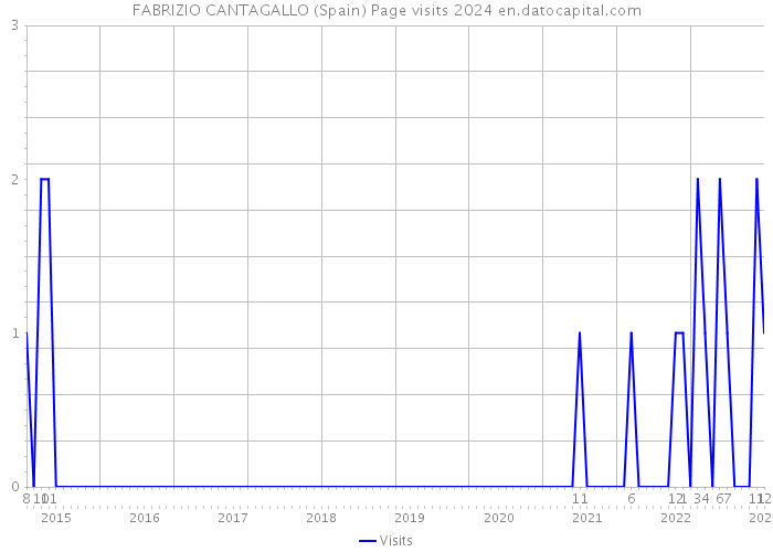 FABRIZIO CANTAGALLO (Spain) Page visits 2024 
