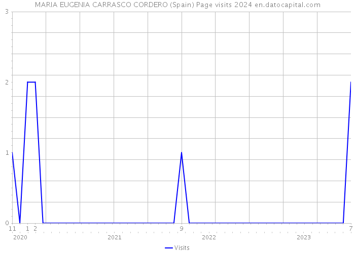 MARIA EUGENIA CARRASCO CORDERO (Spain) Page visits 2024 