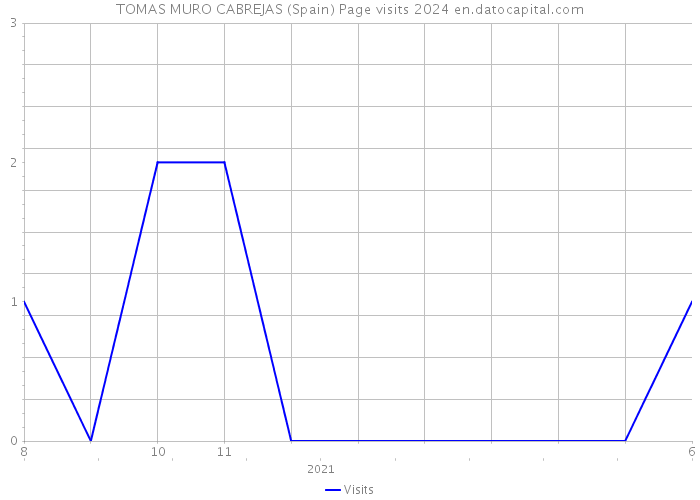 TOMAS MURO CABREJAS (Spain) Page visits 2024 