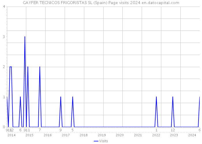 GAYFER TECNICOS FRIGORISTAS SL (Spain) Page visits 2024 