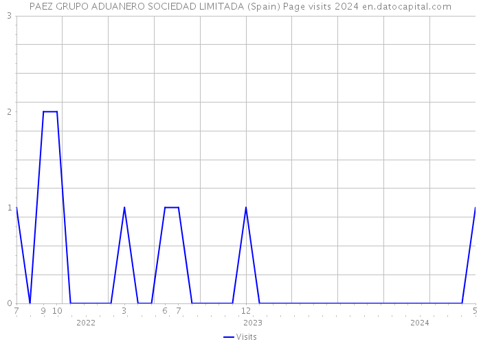 PAEZ GRUPO ADUANERO SOCIEDAD LIMITADA (Spain) Page visits 2024 